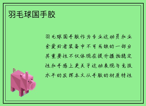 羽毛球国手胶