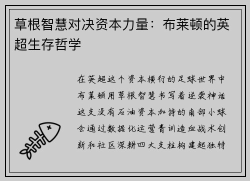 草根智慧对决资本力量：布莱顿的英超生存哲学
